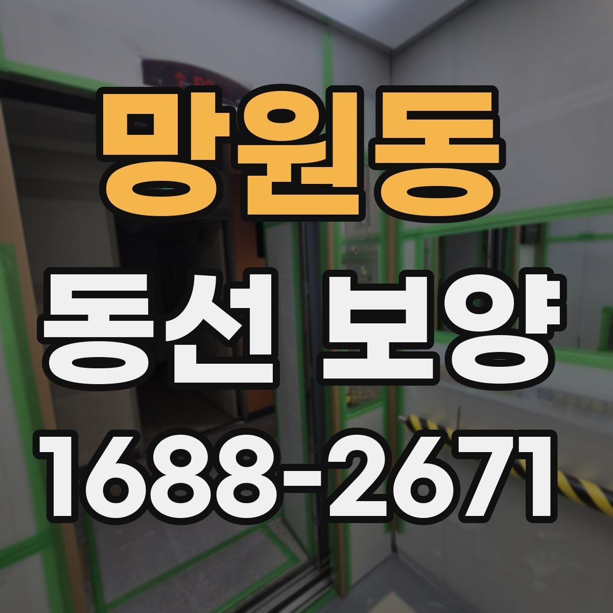 망원동 동선 보양 후 보수와 관리가 필요한 경우