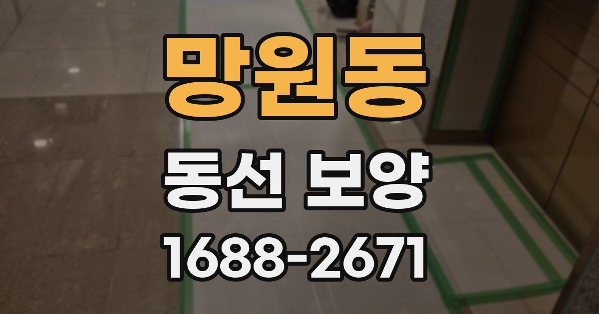 망원동 동선 보양