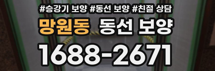 망원동 동선 보양