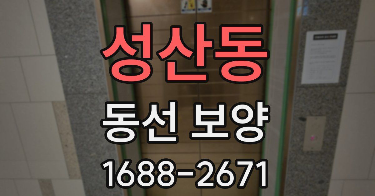 성산동 동선 보양