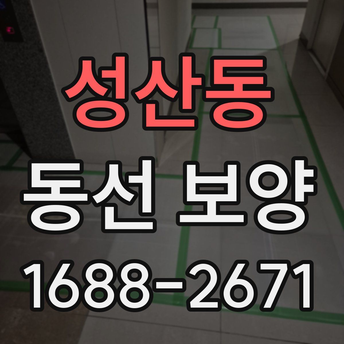 성산동 동선 보양