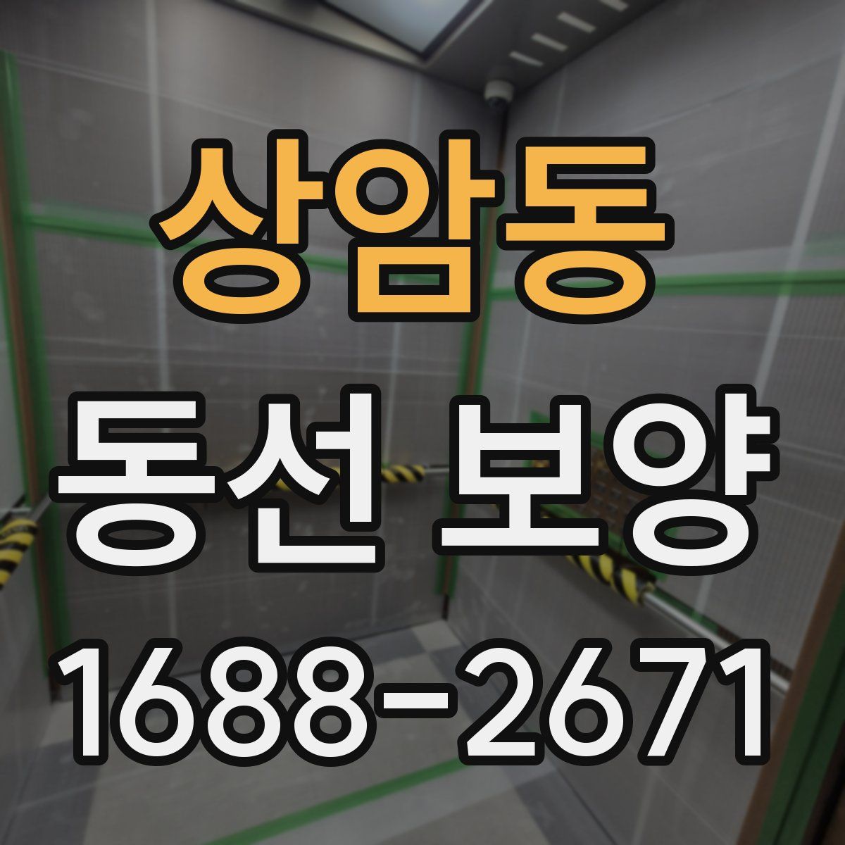 상암동 동선 보양