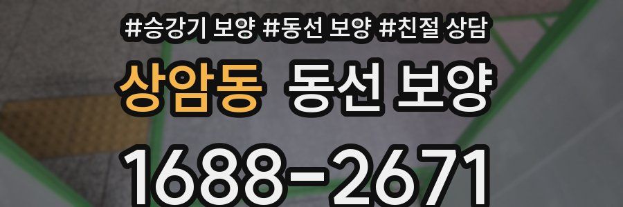 상암동 동선 보양