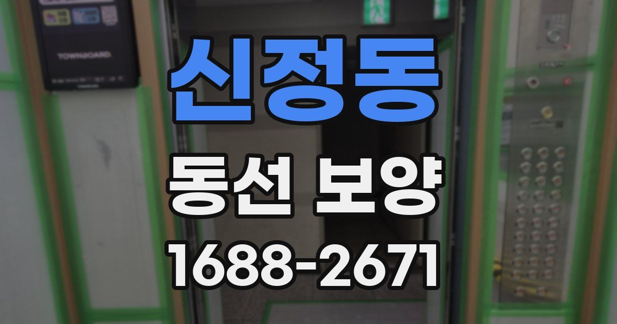 신정동 동선 보양