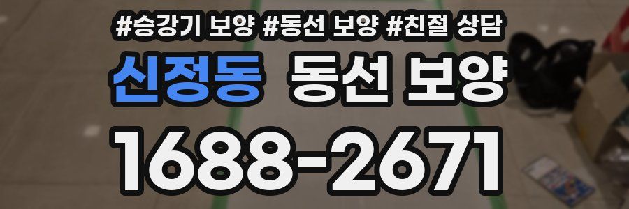 신정동 동선 보양