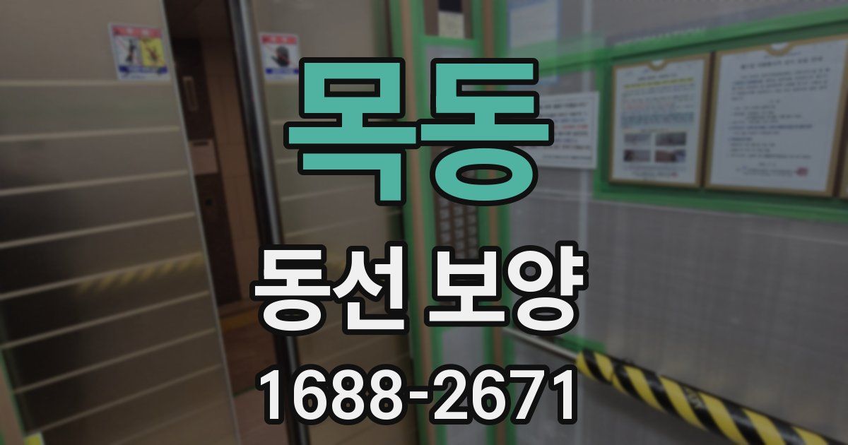목동 동선 보양