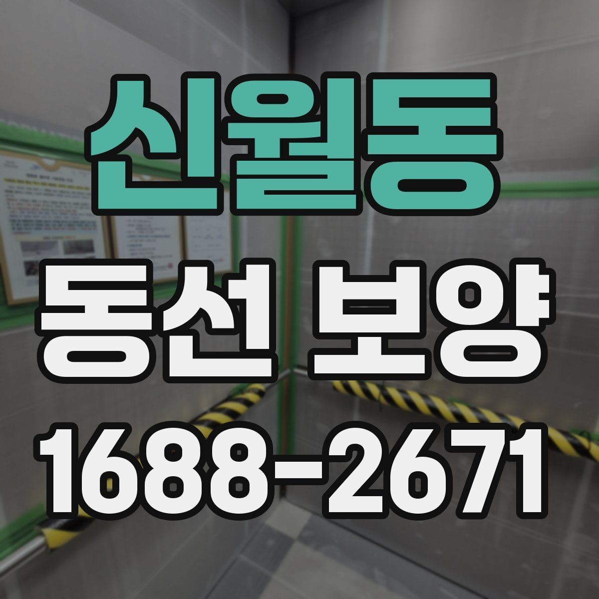 신월동 동선 보양 작업 전 정리해야 할 사항들