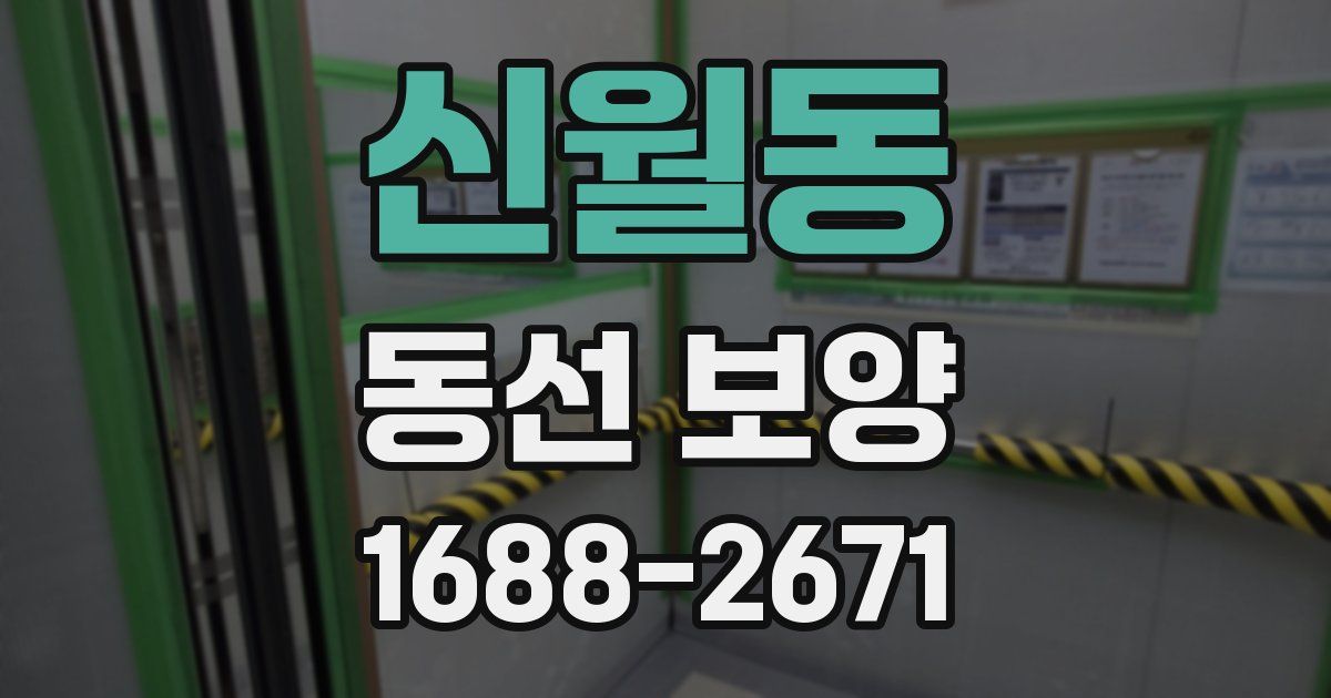 신월동 동선 보양