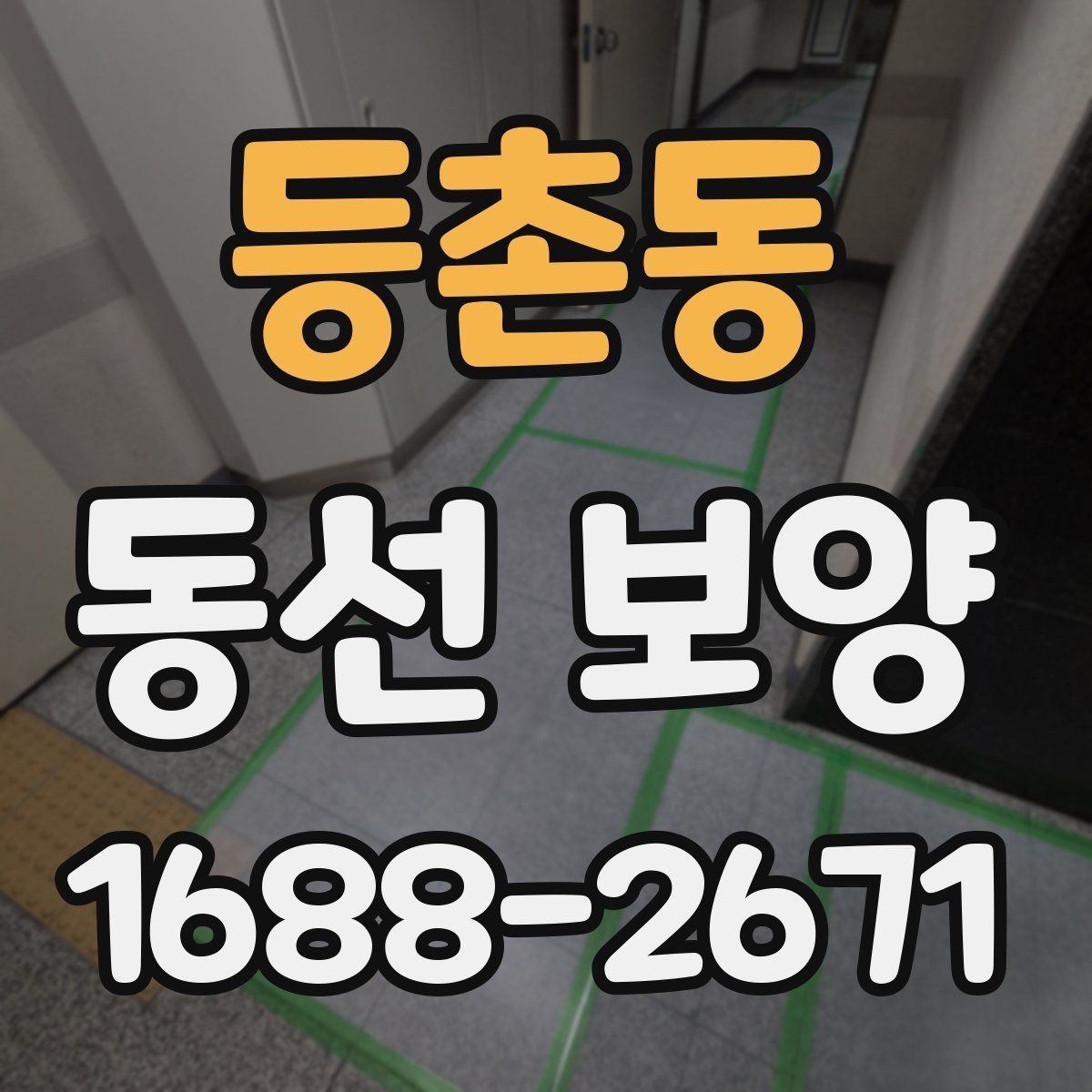 등촌동 동선 보양 자재 고를 때 보는 핵심 포인트