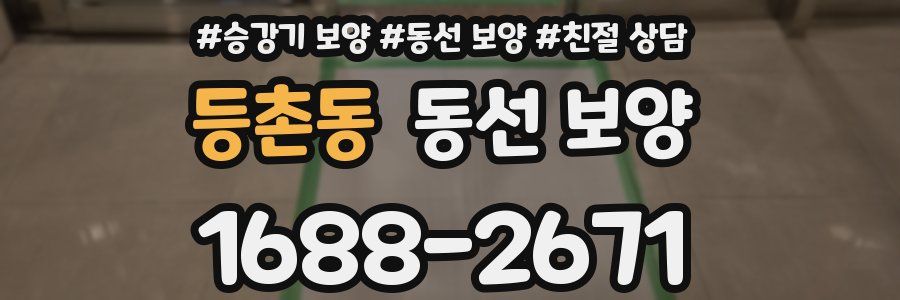 등촌동 동선 보양