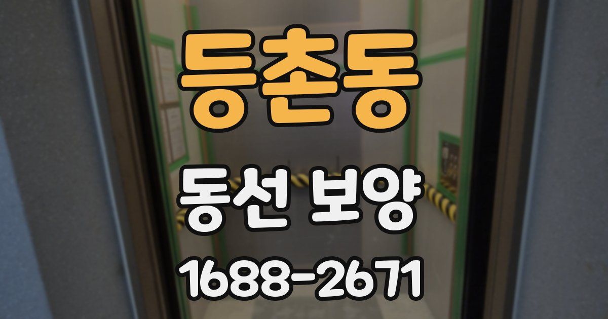 등촌동 동선 보양