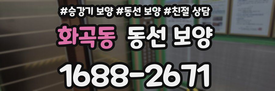 화곡동 동선 보양