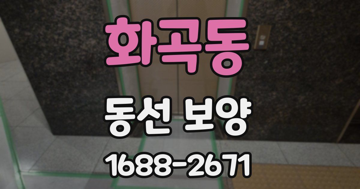 화곡동 동선 보양