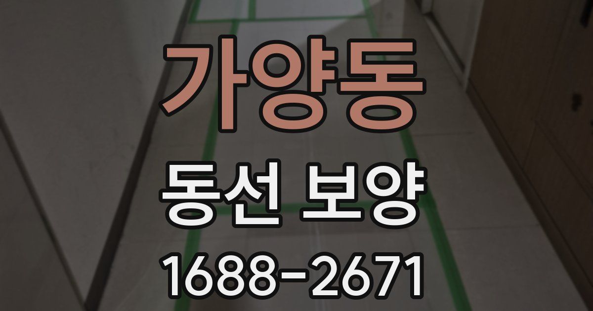 가양동 동선 보양