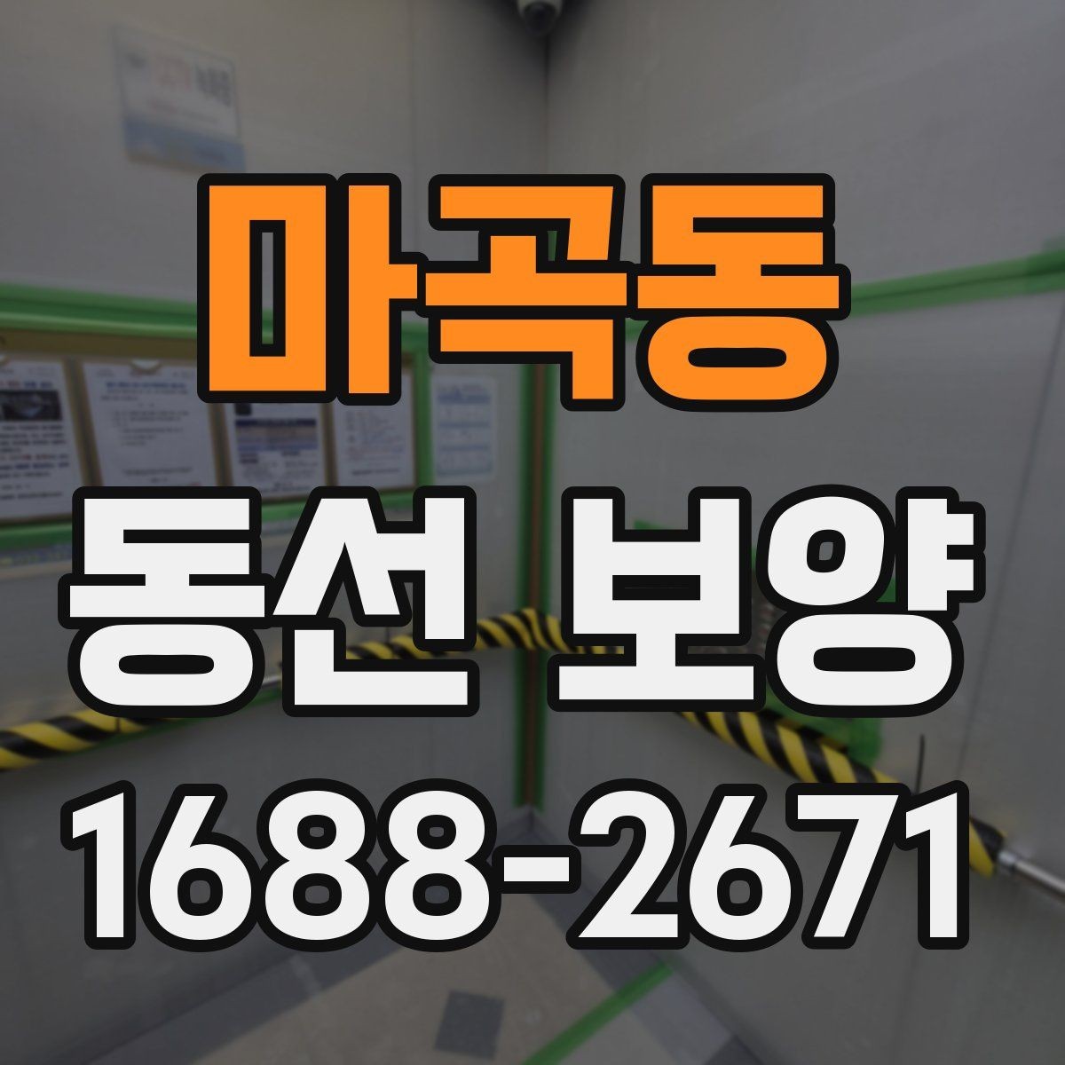 마곡동 동선 보양 비용을 절감할 때 주의할 점