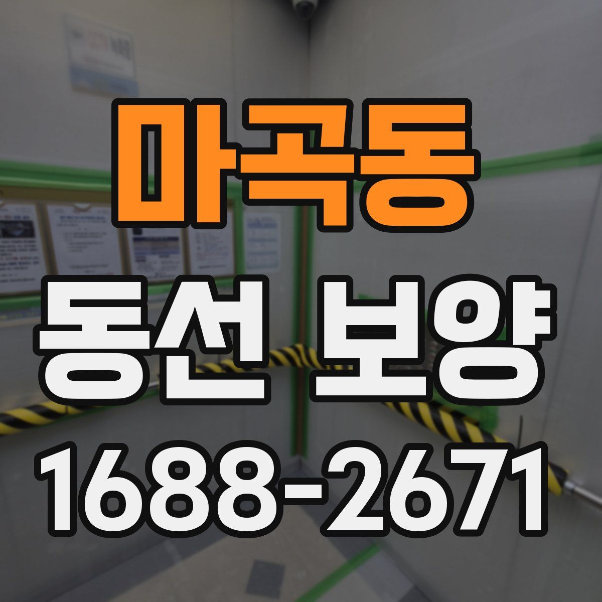 마곡동 동선 보양