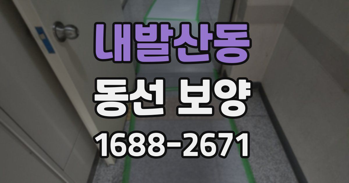 내발산동 동선 보양