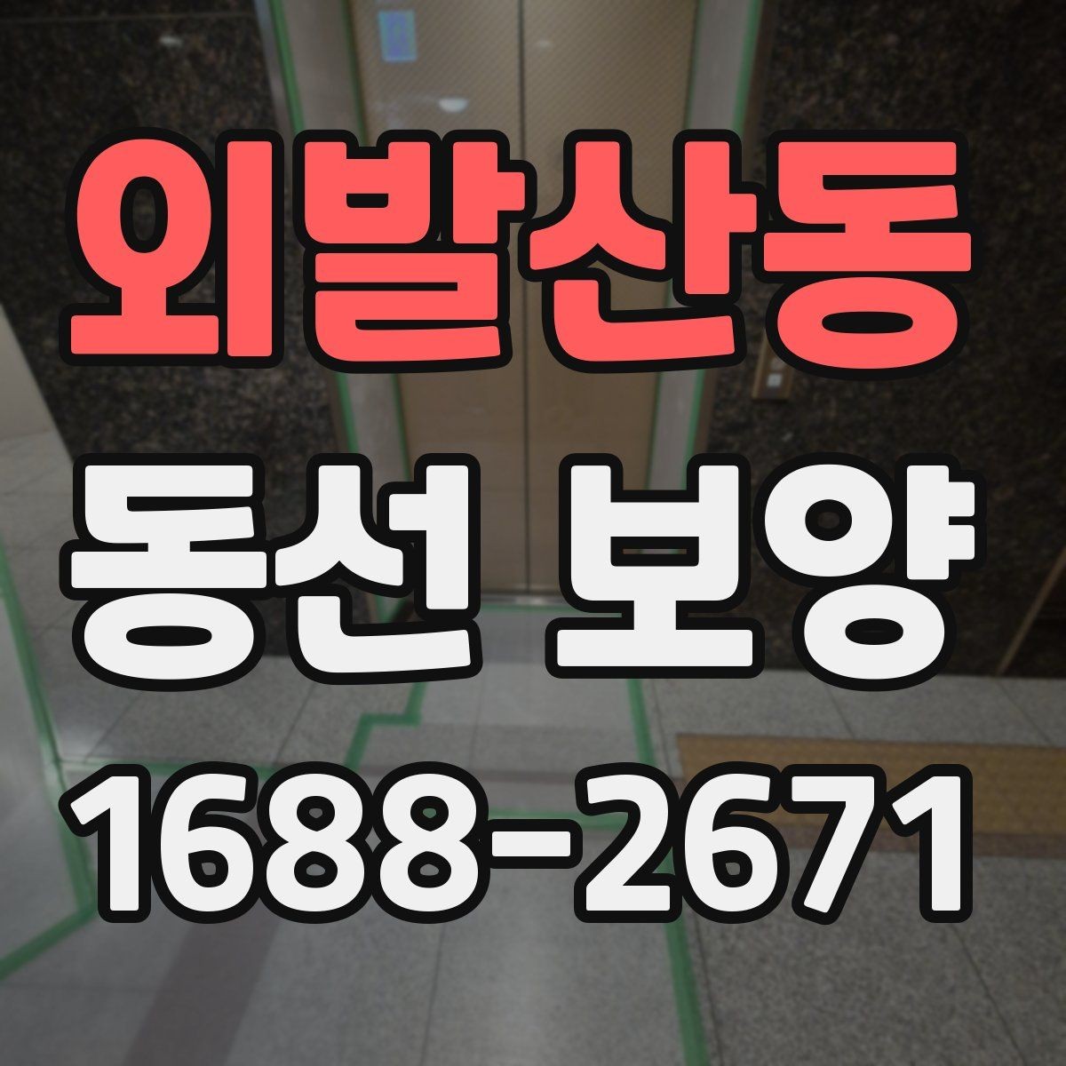 외발산동 동선 보양 공사 전에 미리 확인할 부분