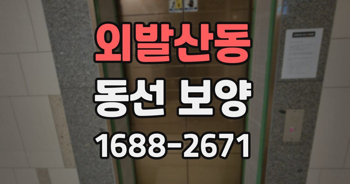 외발산동 동선 보양