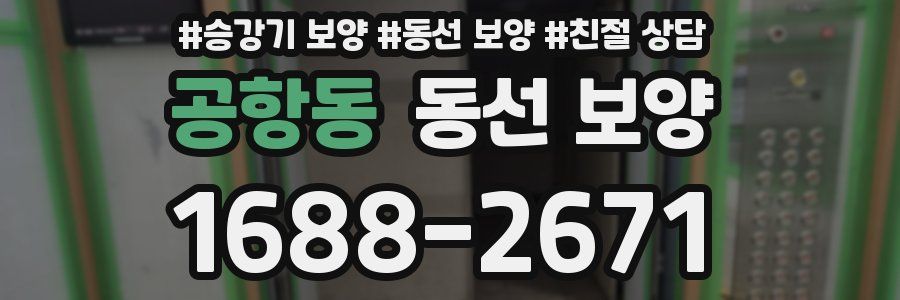 공항동 동선 보양