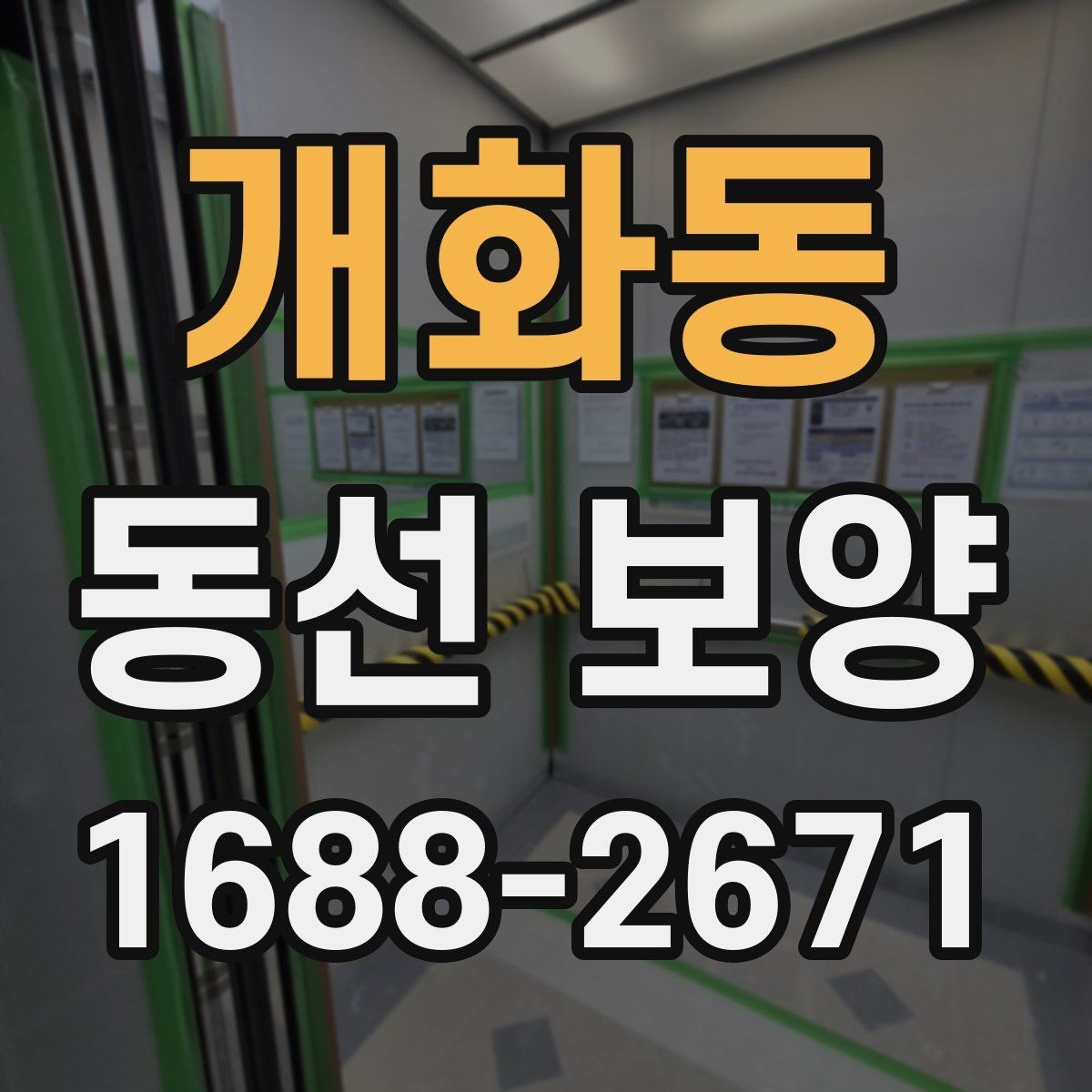 개화동 동선 보양 업체 상담 전에 알아두면 좋은 점