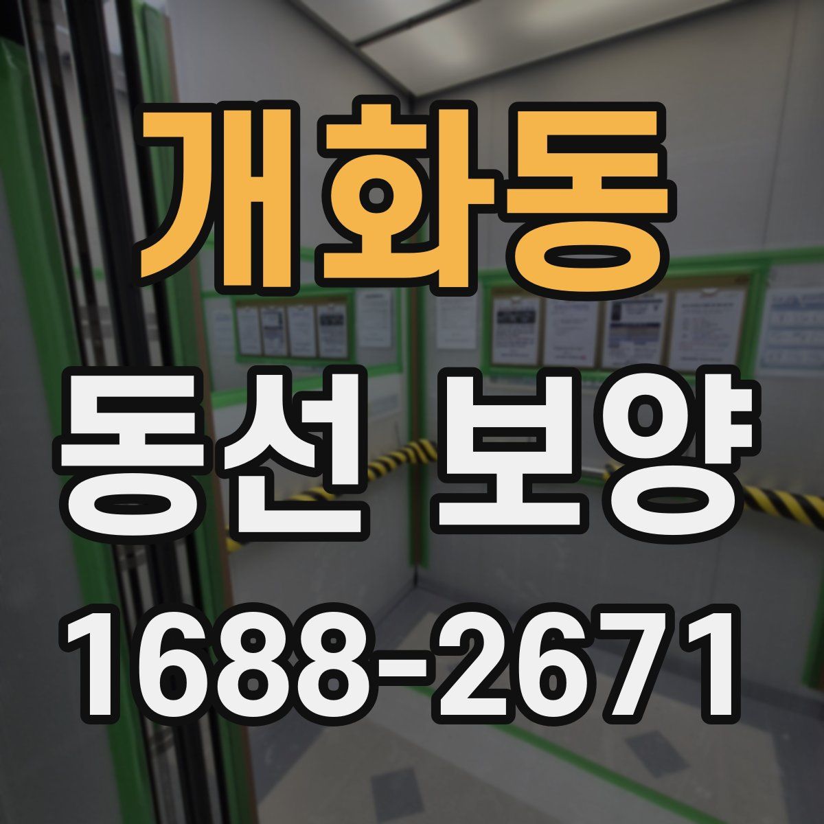 개화동 동선 보양