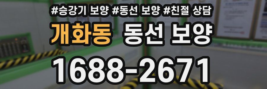 개화동 동선 보양