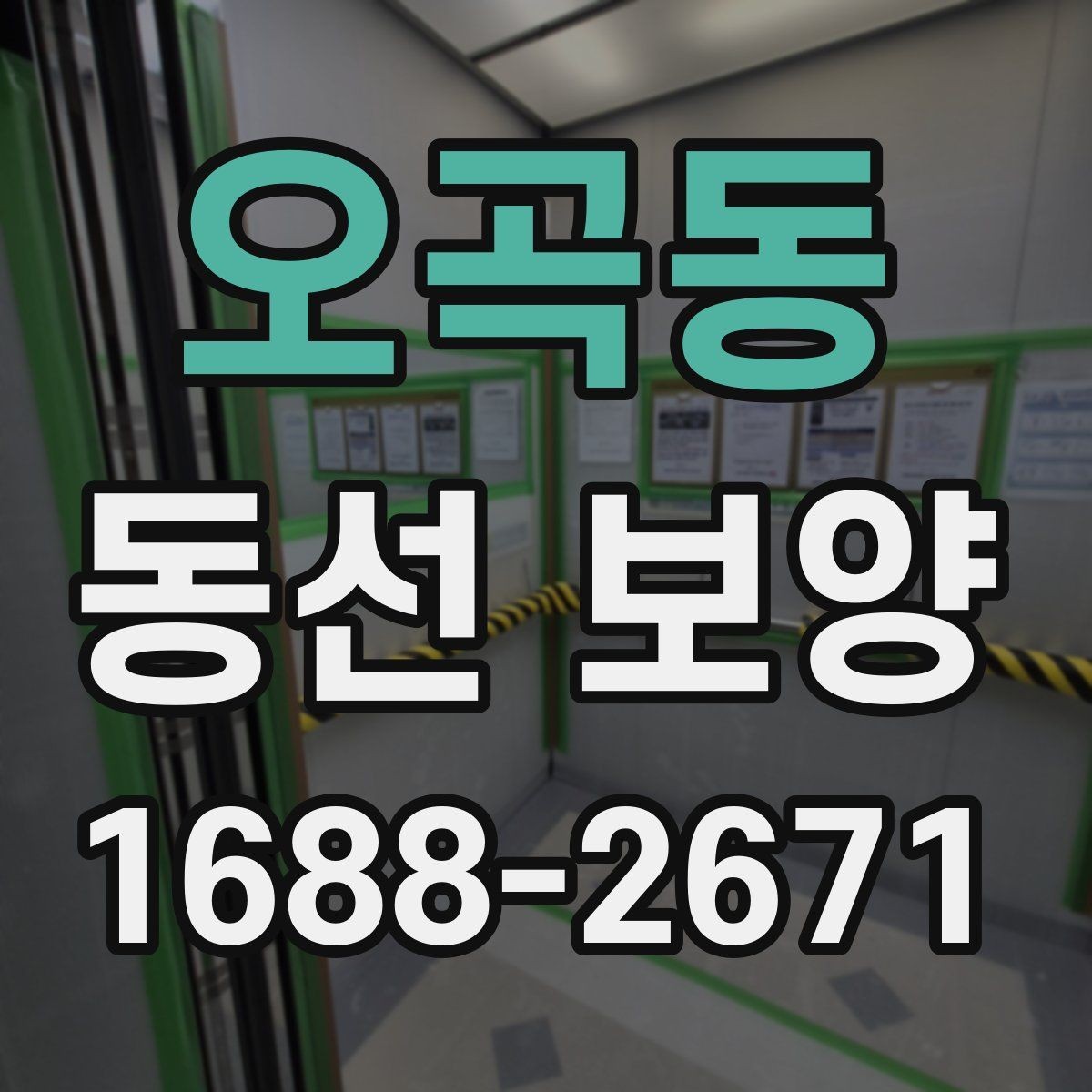 오곡동 동선 보양 작업이 잘 되는 현장 관리 요령