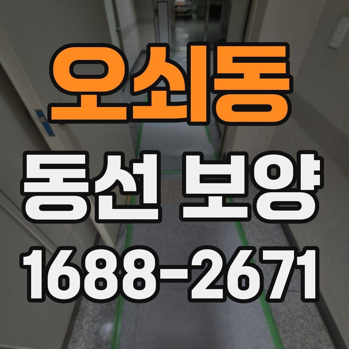 오쇠동 동선 보양 작업에서 안전을 우선해야 하는 이유