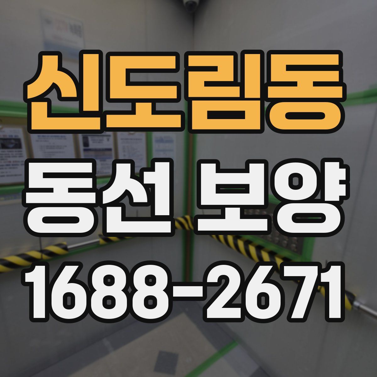 신도림동 동선 보양