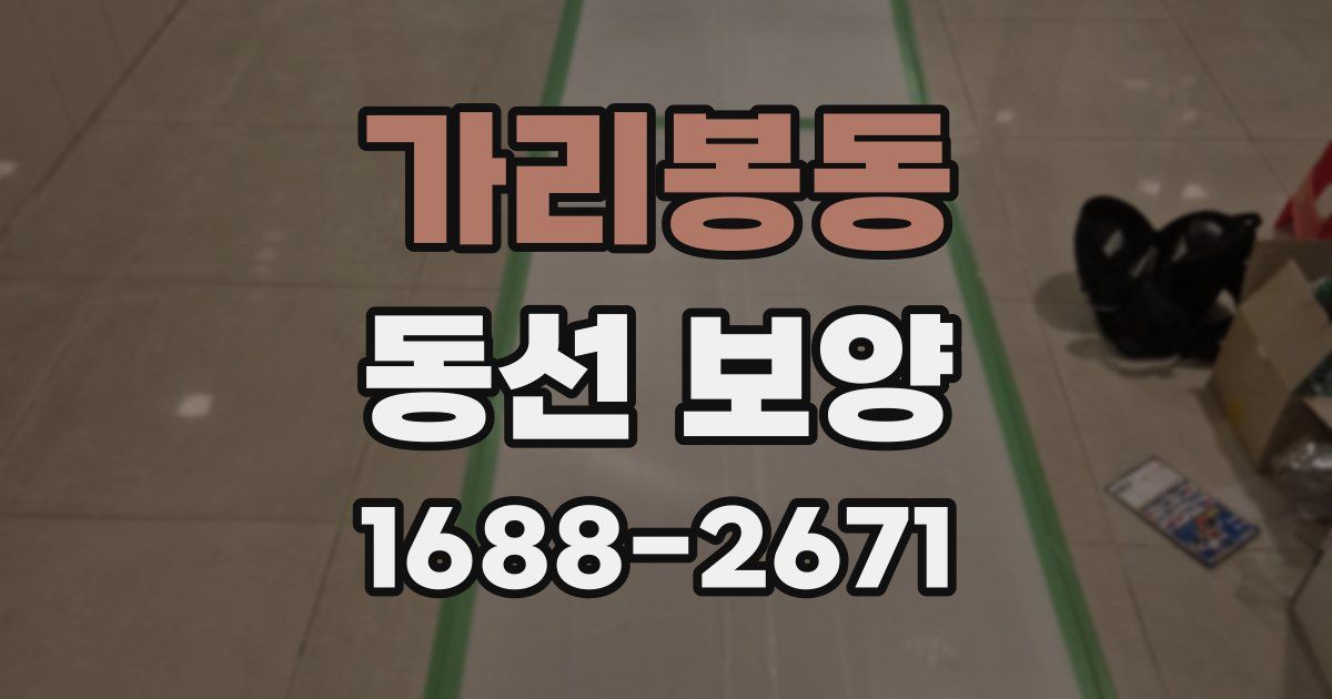 가리봉동 동선 보양