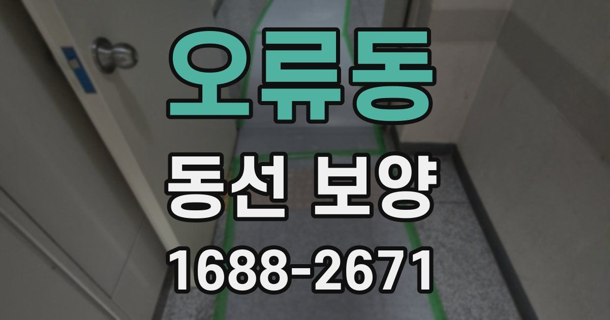 오류동 동선 보양