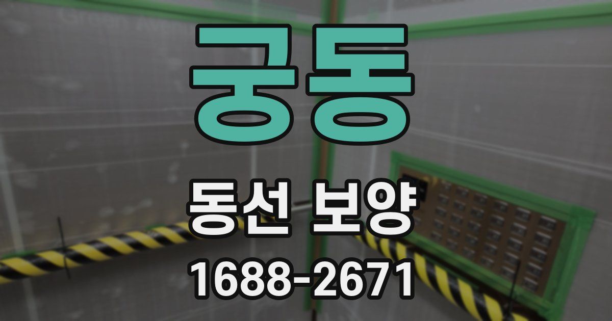 궁동 동선 보양