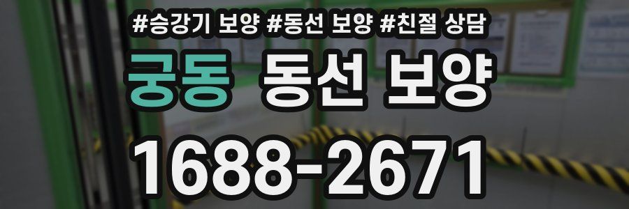 궁동 동선 보양