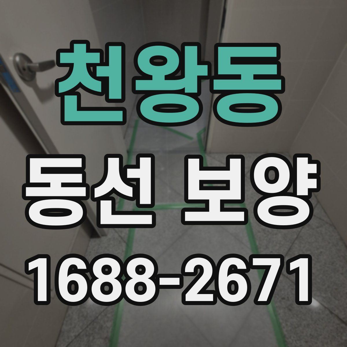 천왕동 동선 보양