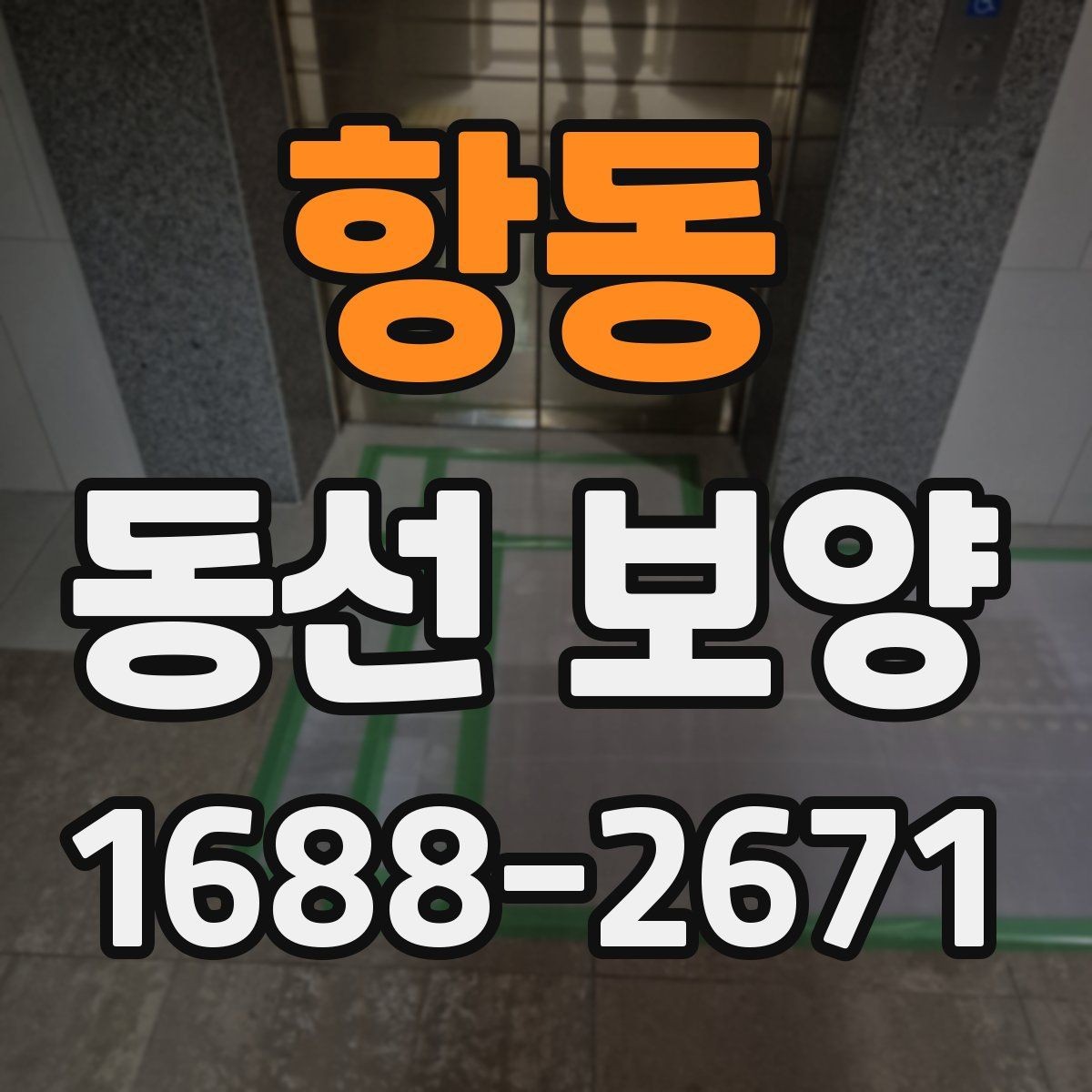 항동 동선 보양 시공 전 확인할 점