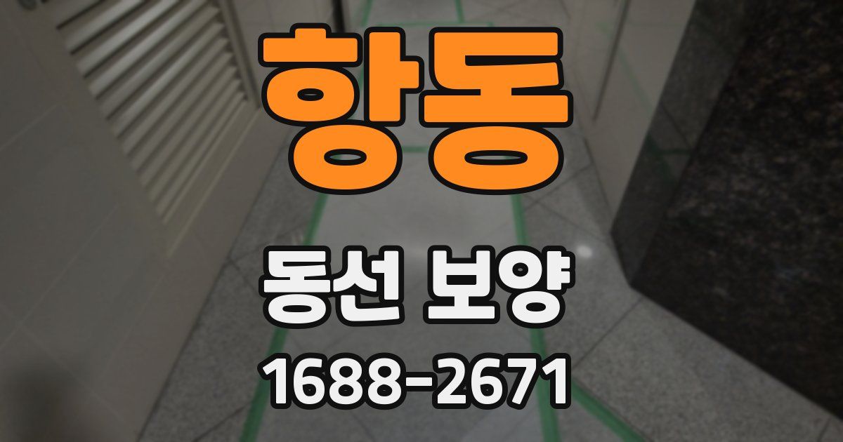 항동 동선 보양