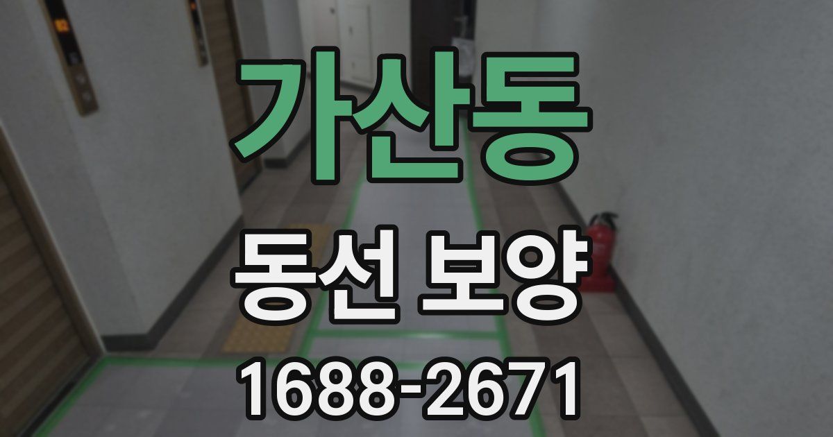 가산동 동선 보양