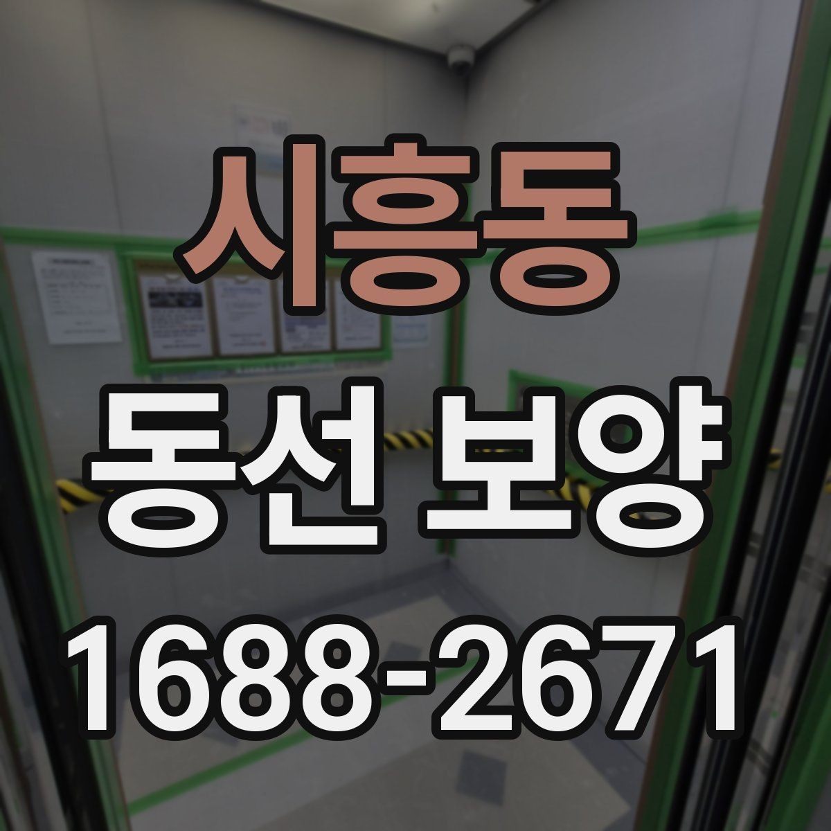 시흥동 동선 보양 작업을 깔끔하게 마무리하는 법