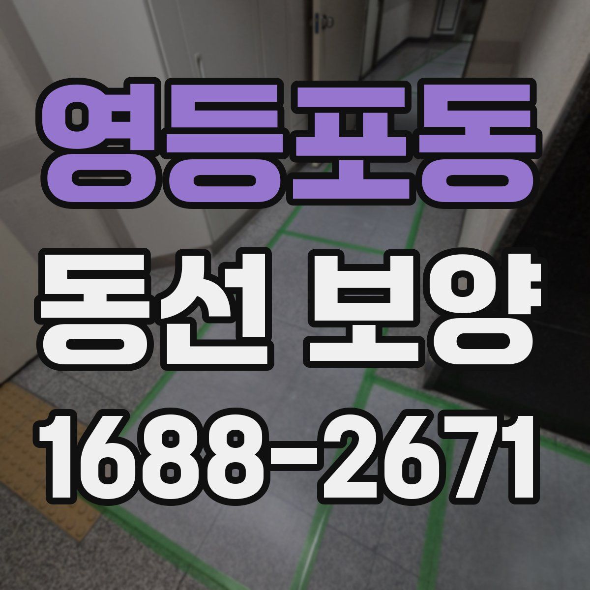 영등포동 동선 보양