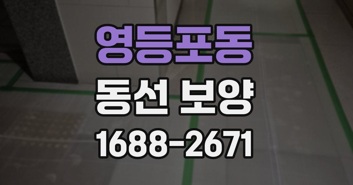 영등포동 동선 보양