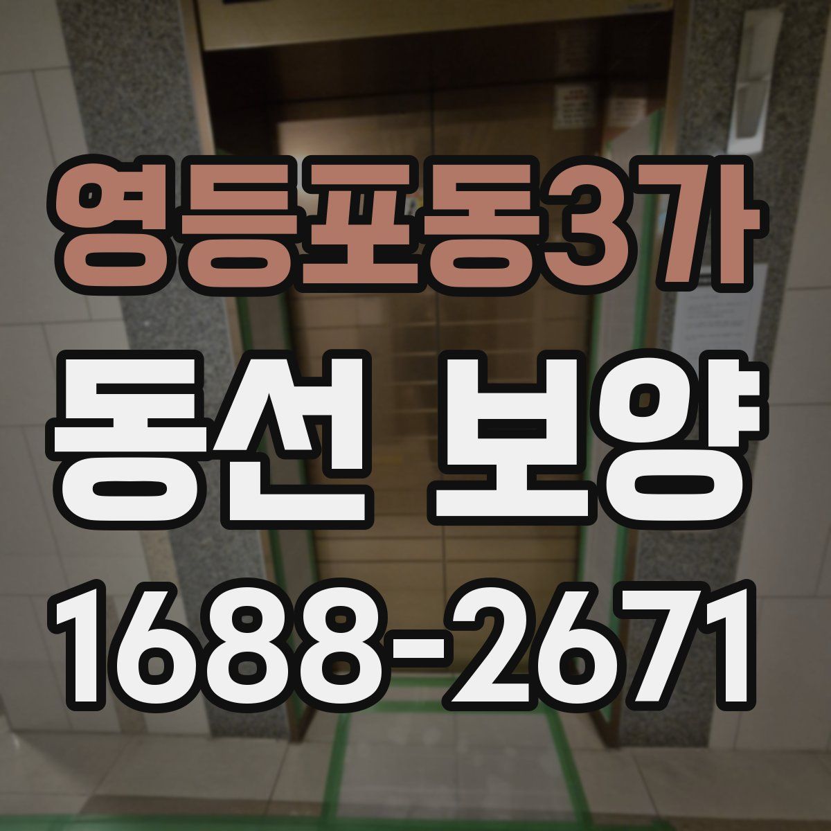 영등포동3가 동선 보양