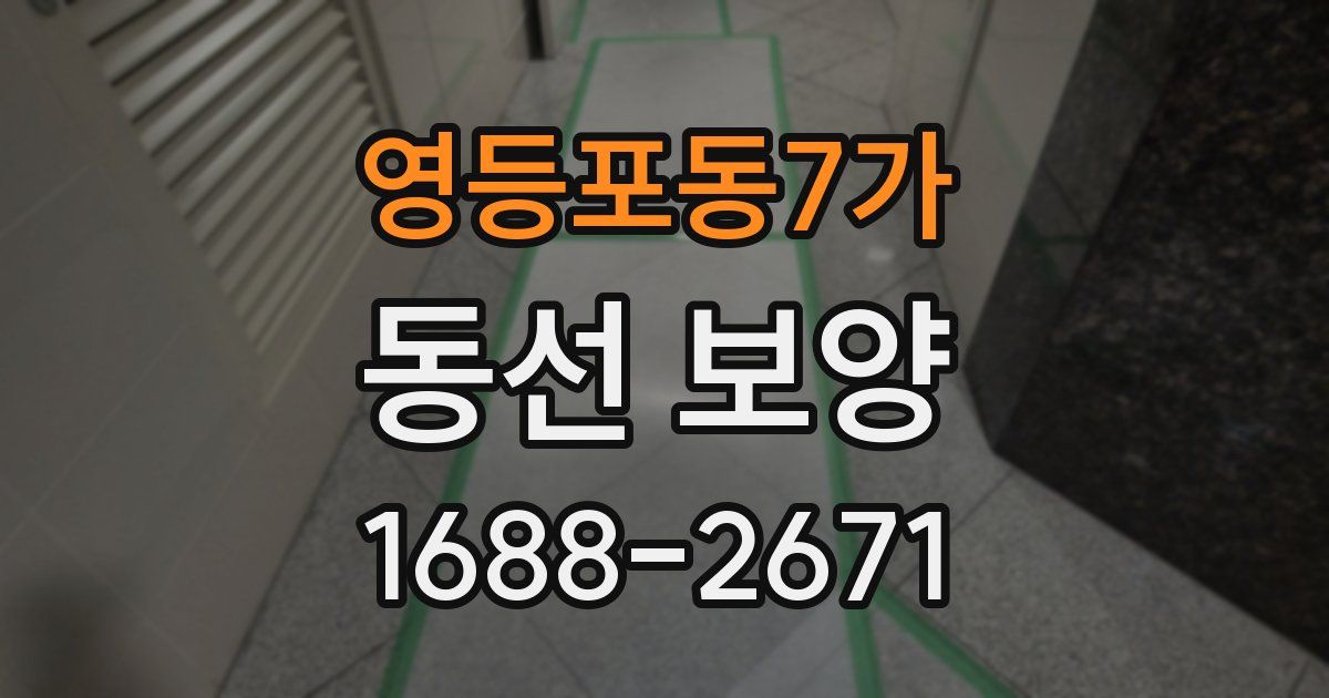 영등포동7가 동선 보양