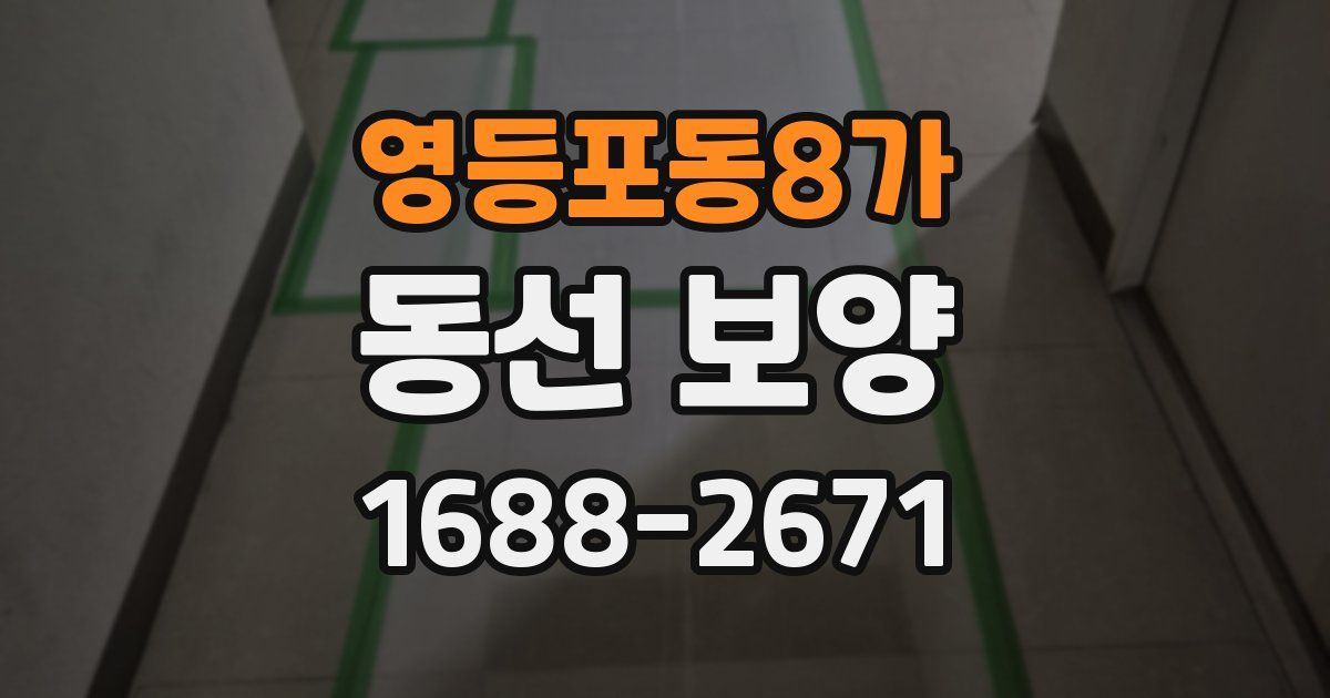 영등포동8가 동선 보양