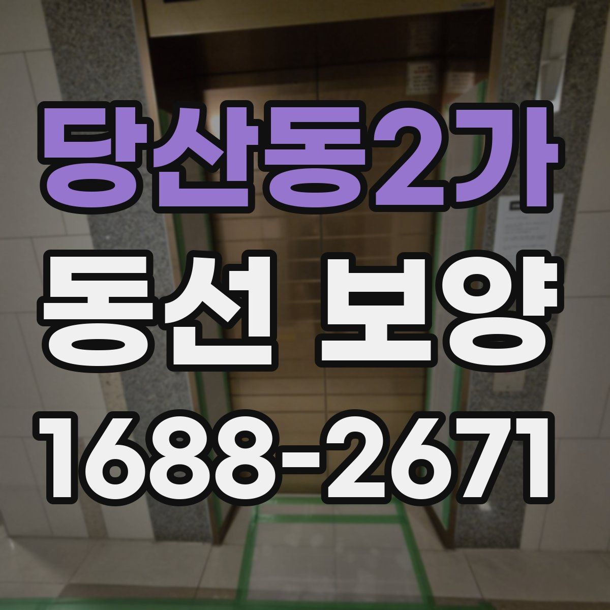 당산동2가 동선 보양 전후 차이를 알기 쉽게 정리