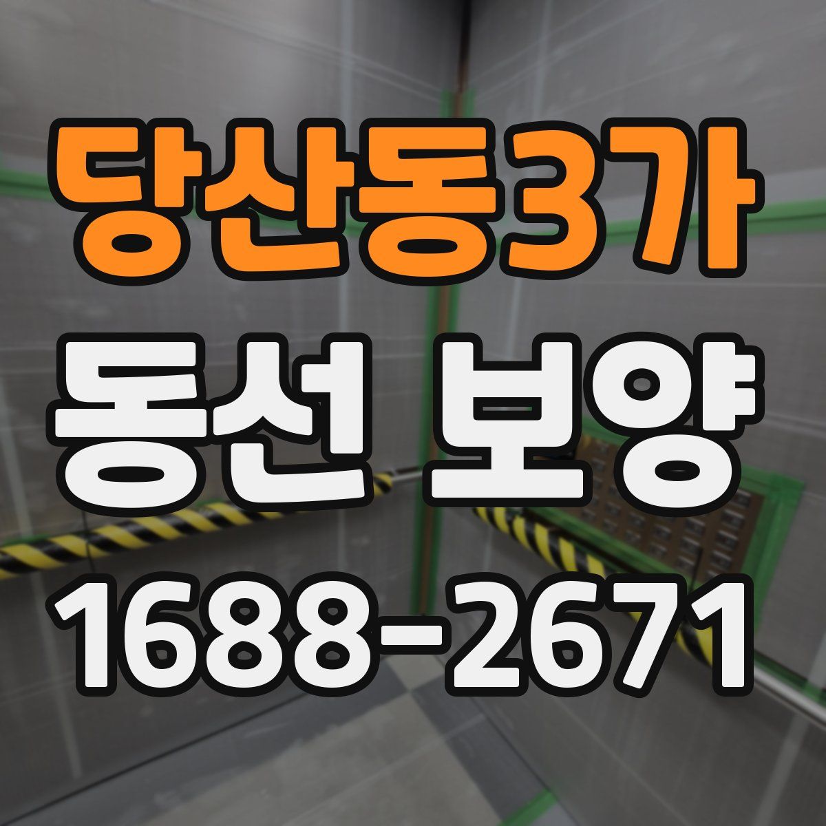 당산동3가 동선 보양