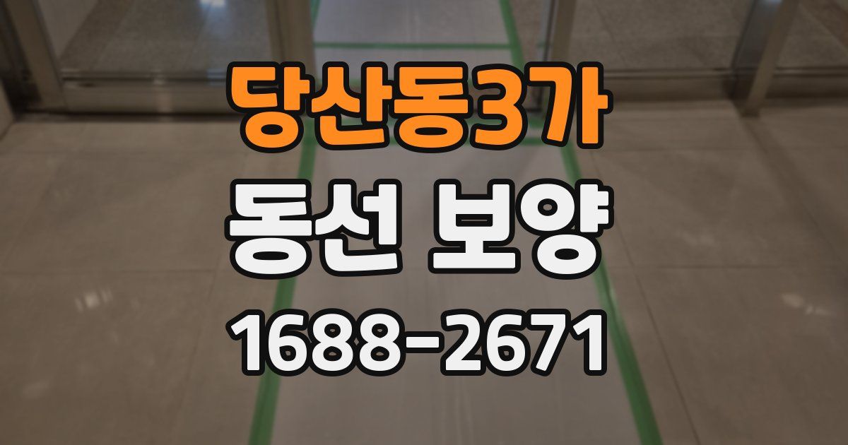 당산동3가 동선 보양