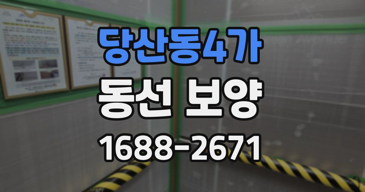 당산동4가 동선 보양