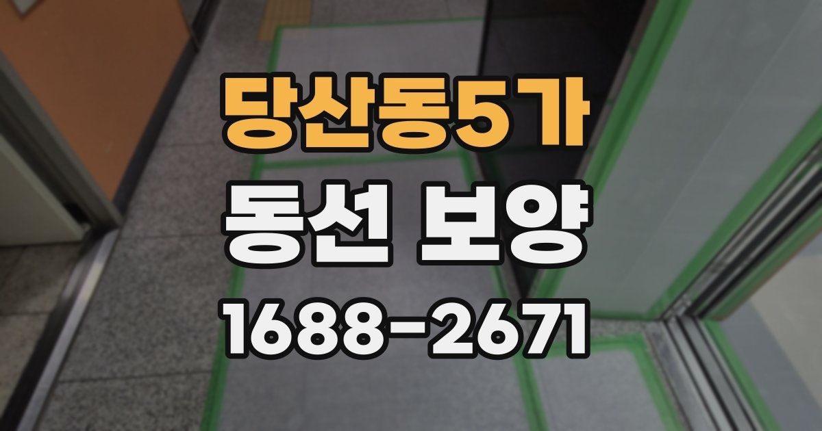 당산동5가 동선 보양