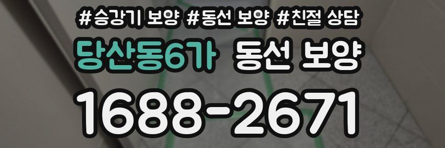 당산동6가 동선 보양